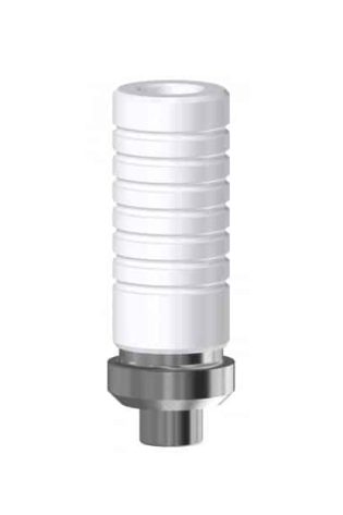 INTERNAL HEX MI Calcinabile Base CrCo rotante SP