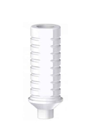 INTERNAL HEX MI Calcinabile rotante WP