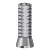 Octagon Converter Abutment Temporary Coping Titanium non rotante RN