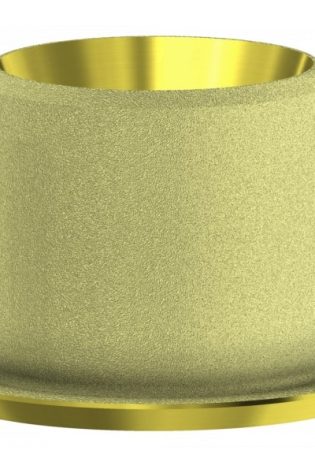 External Hex Universal DESS AURUMBase® rotante RP (per fori angolati fino a 25°)