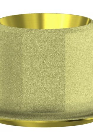 External Hex Universal DESS ANGLEBase® non rotante NP (per fori angolati fino a 25°)